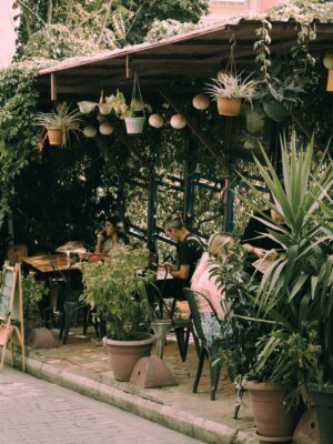 Charming outdoor café with lush plants and patrons enjoying leisurely dining in a garden-like setting.